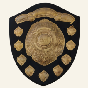 surrogacy law firm certification India